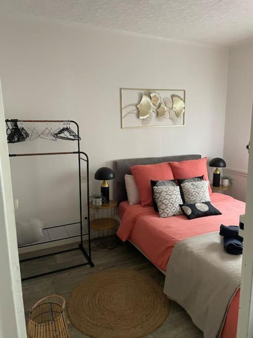 Appartement Superbe T2 De Caractere Au Centre Classe 3 Etoiles *